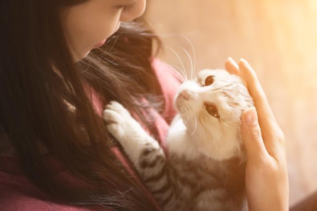 cat hugs woman