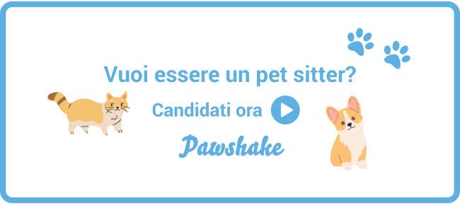 Vuoi essere un pet sitter?